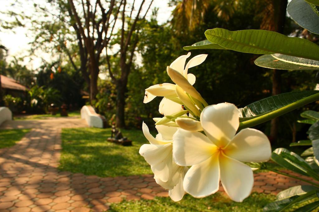 Secret Garden Chiangmai Otel San Kamphaeng Dış mekan fotoğraf