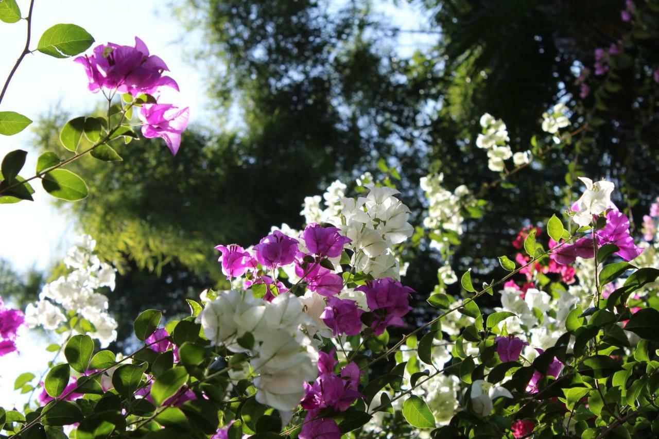 Secret Garden Chiangmai Otel San Kamphaeng Dış mekan fotoğraf